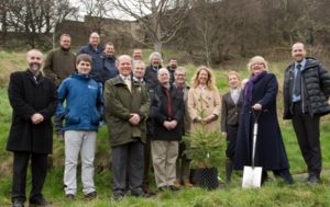 Conifer conservation project small