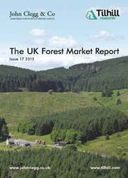 uk-forest-market-report-cover
